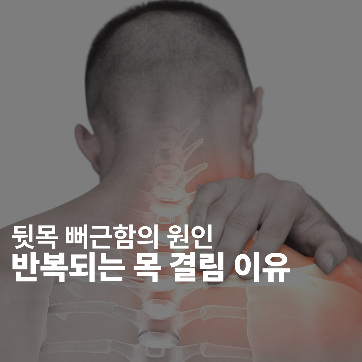 c76b23b2bd1aa17a0293b6433bf6f9b0_1779755230_0196.png c76b23b2bd1aa17a0293b6433bf6f9b0_1779755230_0196.png