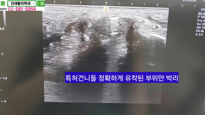 445cc4b5593a0ec36686c4c19b24a1f6_1720241027_9167.jpg 445cc4b5593a0ec36686c4c19b24a1f6_1720241027_9167.jpg