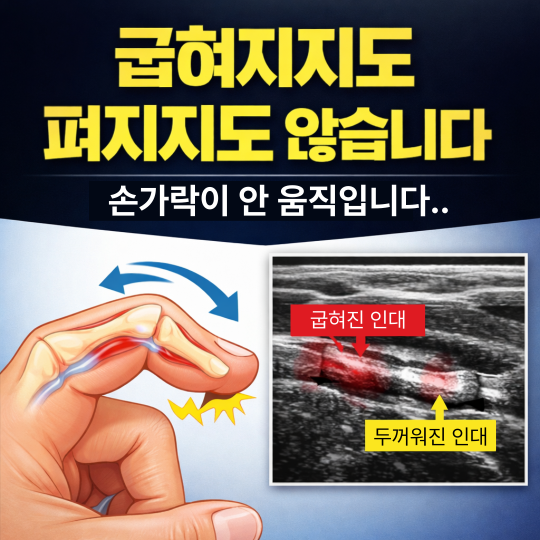01e7baab243c8ce99f693d19c8dea214_1773186439_4307.png 01e7baab243c8ce99f693d19c8dea214_1773186439_4307.png
